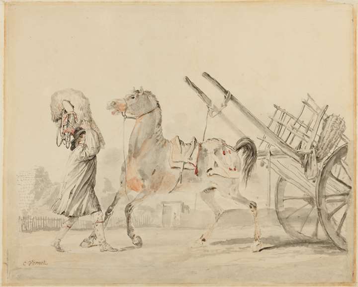 A Carthorse Being Yoked